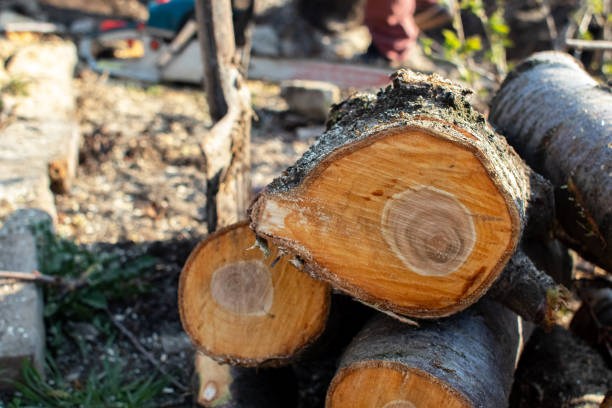 Mulching Services in Honeoye Falls, NY